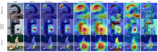 SWAG: Superpixels Weighted by Average Gradients for Explanations of CNNs